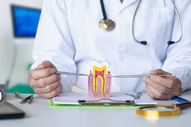 Best Emergency Cosmetic Dentistry in New Waverly, TX